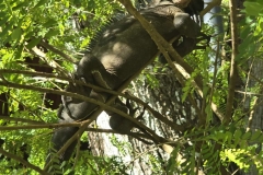 IMG-20250317-WA0021-1