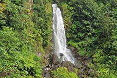 IMG-20250401-WA0014-1