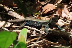 IMG-20260402-WA0001-1
