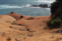 IMG-20260405-WA0020-1