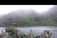 Screenshot_20220129-205043_WhatsApp