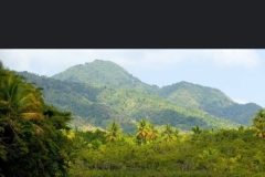 Screenshot_20220505-055840_Maps